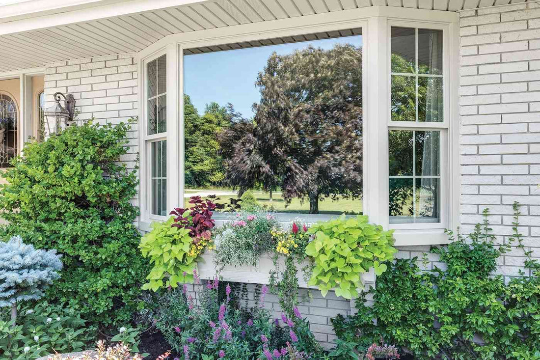 What Is a Garden Window and Why You Need One in Your Life? 🌱✨